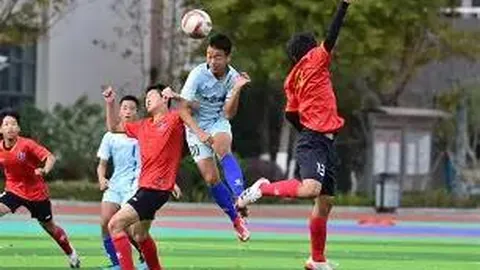 辛纳澳网3-0横扫德米纳尔，成功卫冕晋级男单四强