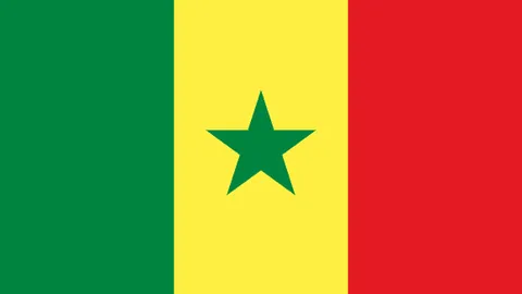 威利普斯波多黎各公开赛夺冠，熊瑾菘与袁也淳分列第五及第五十四