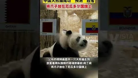 老鹰逆转胜猛龙，特雷杨34分10助攻，亨特22分助终结十连败