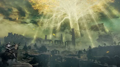 活塞对猛龙战前瞻：客场挑战来袭，活塞全新出发引关注