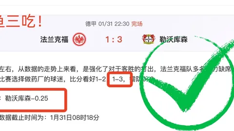 大乐透期号阿布扎比防线专家推荐质合分析挑战重重